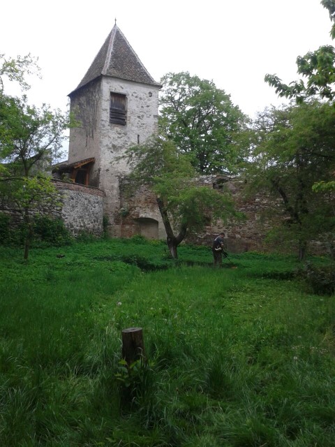 Fr14 Andere