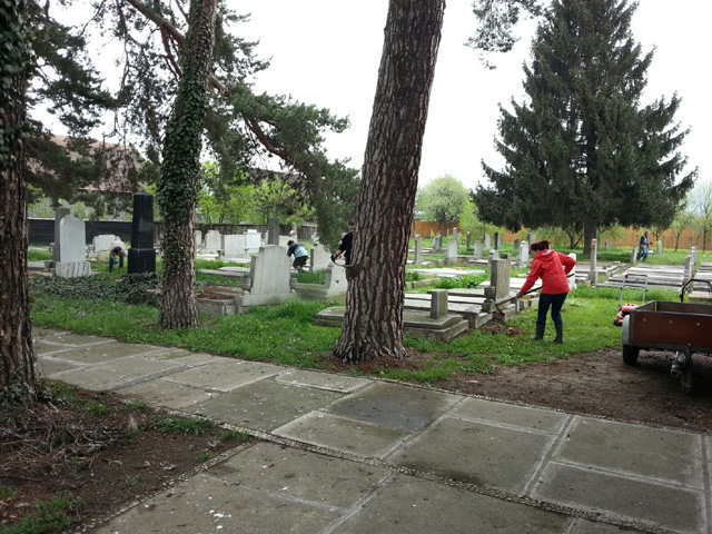20150430 111508 resized