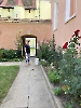 IMG_4818