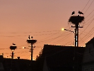 20250813_210029